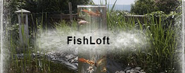 Bildergalerie FishLoft
