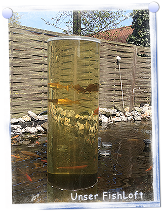Unser FishLoft